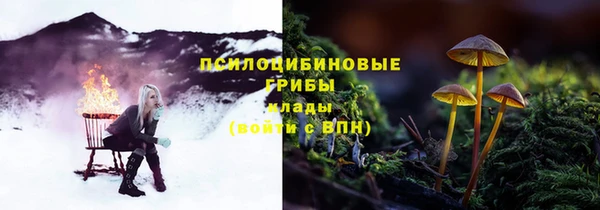 кристаллы Инта