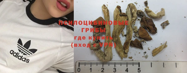 ALPHA PVP Инсар