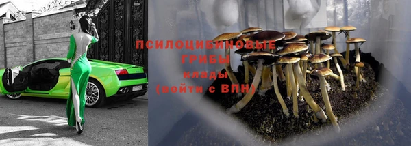 ALPHA PVP Инсар